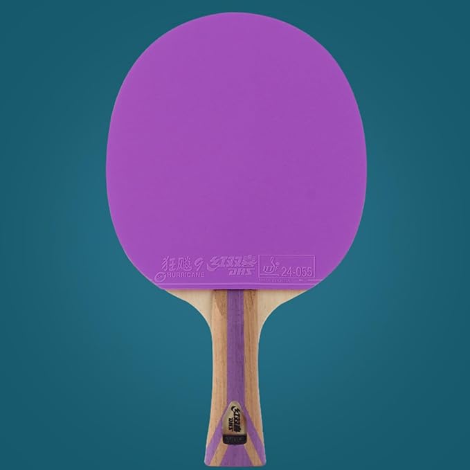 DHS Ping Pong Paddle Professional Racket - Table Tennis Racket with Carrying Case - ITTF Approved Rubber for Tournament Play - Best Table Tennis Paddle
