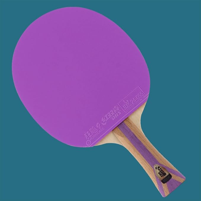 DHS Ping Pong Paddle Professional Racket - Table Tennis Racket with Carrying Case - ITTF Approved Rubber for Tournament Play - Best Table Tennis Paddle