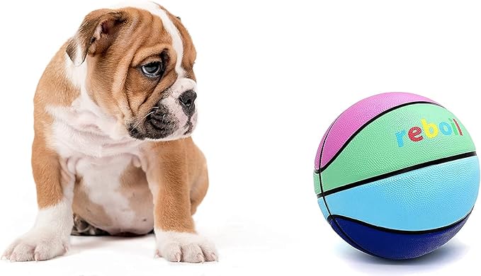 Premium Rubber/Leather Basketball - Kids & Youth, Size 3/4/5/6/7