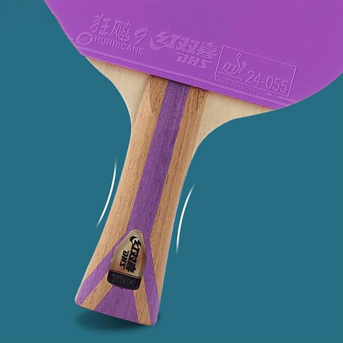 DHS Ping Pong Paddle Professional Racket - Table Tennis Racket with Carrying Case - ITTF Approved Rubber for Tournament Play - Best Table Tennis Paddle