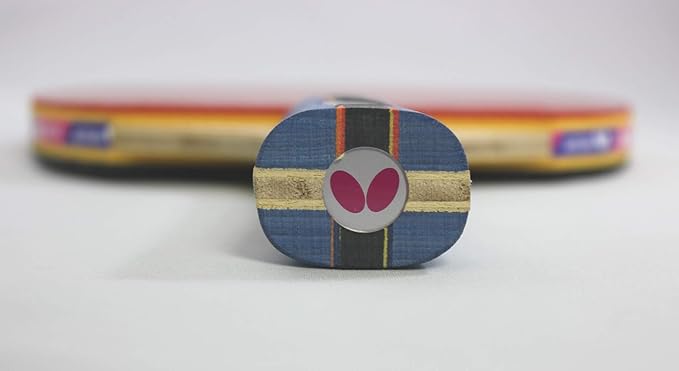 Butterfly Nakama Shakehand Ping Pong Paddle - Recommended for Beginner & Intermediate Level Players - Includes Two Free 40+ Balls - International Table Tennis Federation Approved