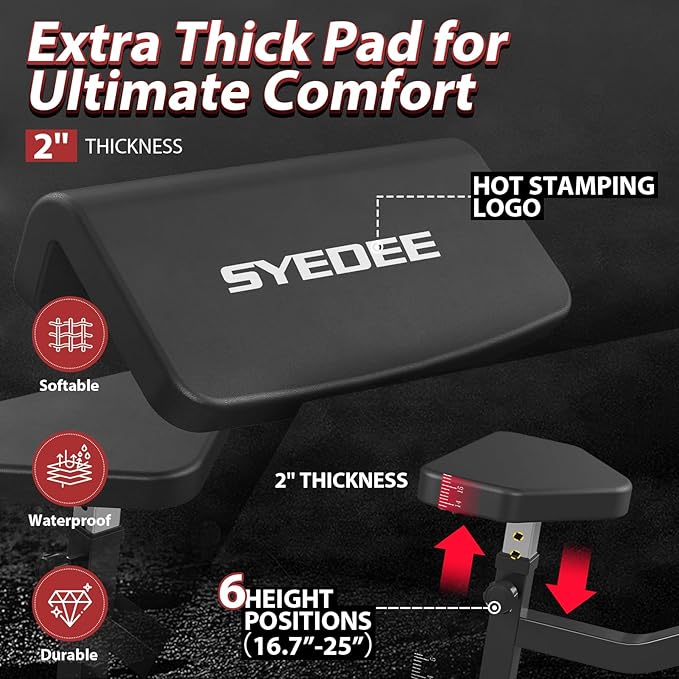 Mikolo Preacher Curl Bench, Plate Loaded Bicep Curl Machine, Bicep and Tricep Workout Equipment,2 in 1 Arm Training Machine for Home Gym