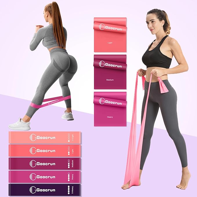Pilates Ring Set Exercise Equipment with Exercise Bands Resistance Bands Set, Pilates Ball, Sliding Disks ā Workout Equipment Home Gym Includes Complete Fitness Poster