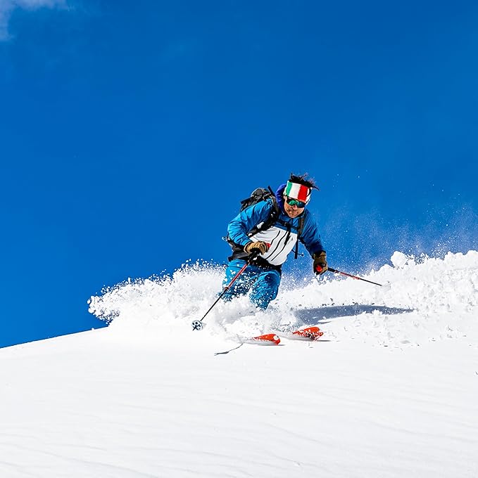 Wolf | Mountain Lion Ski Pole Baskets
