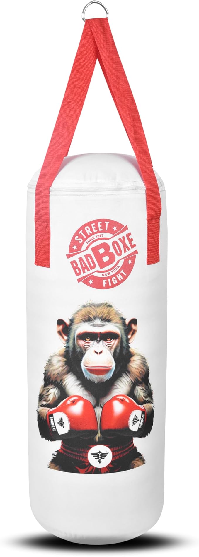 Punching Bag w/Boxing Gloves | Junior 2FT Punching Bag Set with Mount & Hanger | Youth Punching Bag with Free Boxing Gloves for Boxing Training MMA BJJ Muay Thai Workout