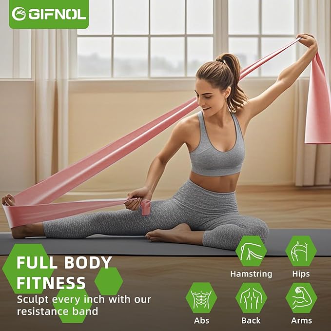 Pilates Ring and Ball Set with Resistance Bands - Pilates Equipment for Home Workout - 14'' & 12'' Pilates Rings, 2 Pilates Balls, 5 Resistance Bands for Toning Arms, Thighs/Legs & Core
