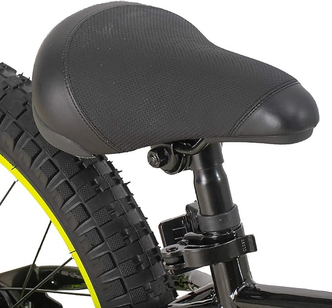 JOYSTAR NEO 20 Inch Kids Bike for Ages 6-10 Years Old Boys & Girls, 20 Inch Wheels Kids Mountain Bike with Training Wheels & Handbrake, Kids' Bicycles, Multiple Colors