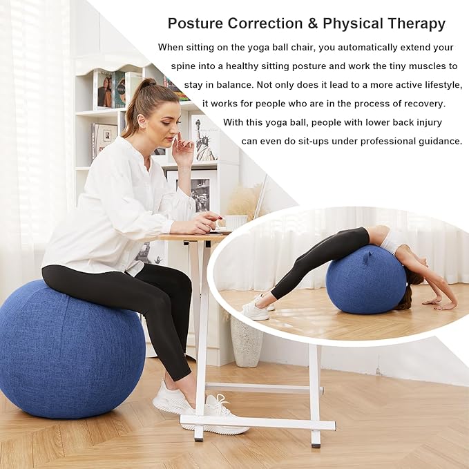 Exercise Ball Chair with Fabric Cover, Standard Size (25inches/65cm), for Home Offices, Balance Training, Yoga Ball