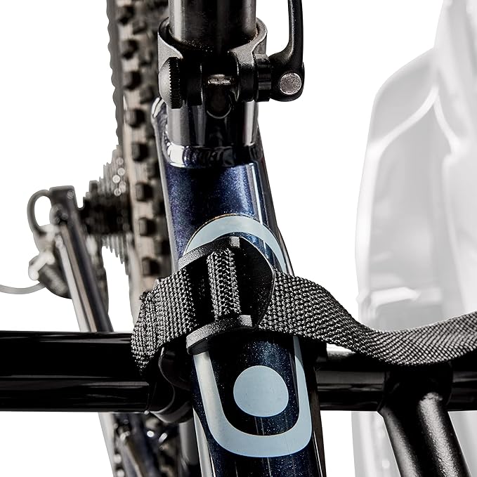 Allen Sports Deluxe 2-Bike Hitch Mount Rack, Model ZN520 Black