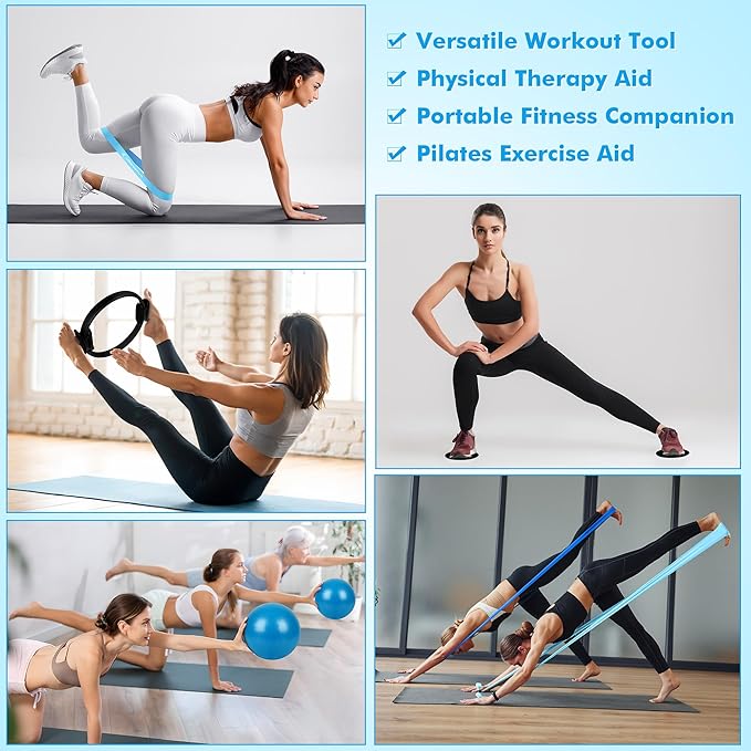 Pilates Ring Set Exercise Equipment with Exercise Bands Resistance Bands Set, Pilates Ball, Sliding Disks ā Workout Equipment Home Gym Includes Complete Fitness Poster
