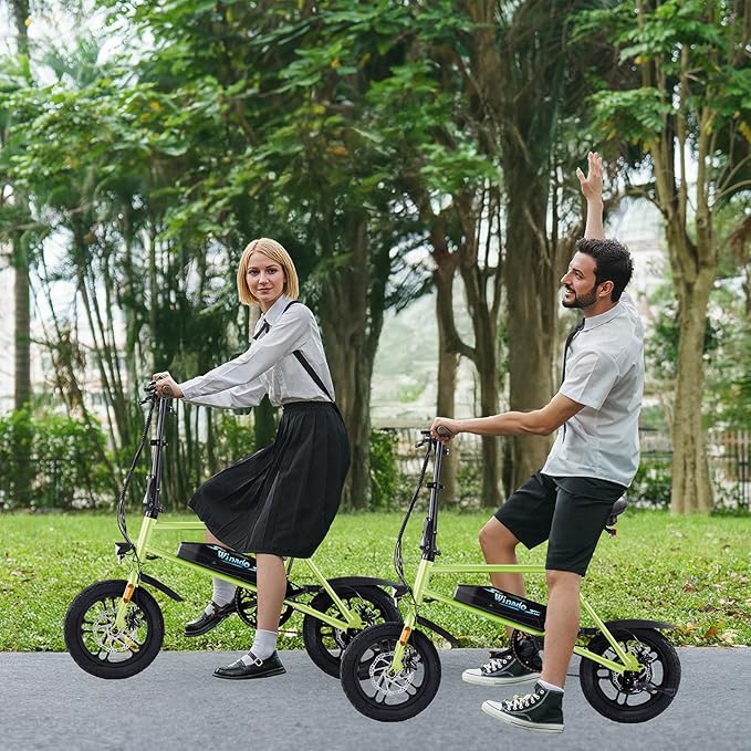 Winado Electric Bike for Adults, 14" Folding Electric Bicycle 450W Motor with Dual Disc Brakes, Max Range 25Miles(Pedal-Assist) & Speed 15.5MPH, Foldable Commuter City Ebike for Adults/Teens