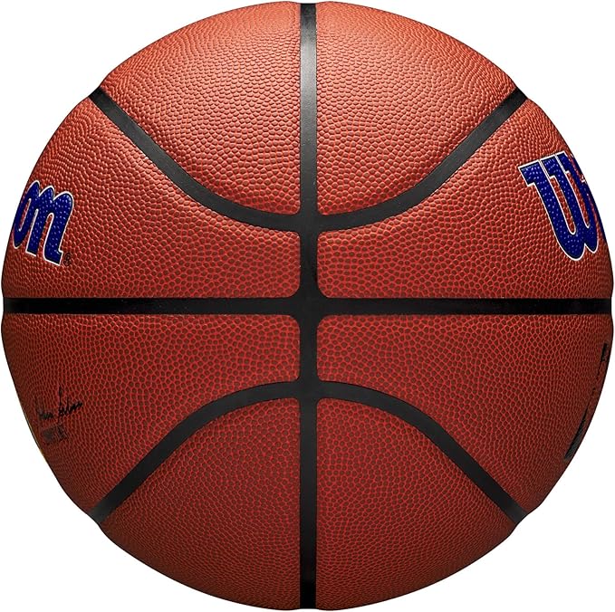 WILSON NBA Team Alliance Basketballs - Size 7-29.5"