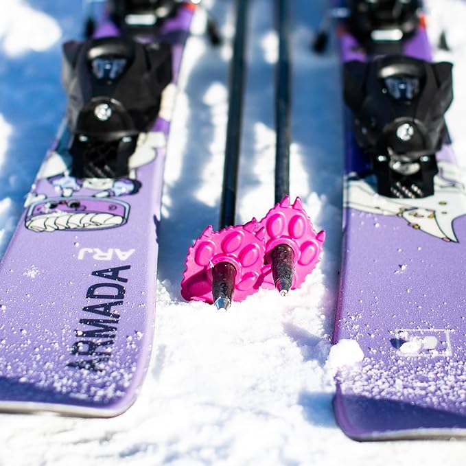 Wolf | Mountain Lion Ski Pole Baskets