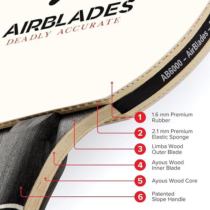 Professional Ping Pong Paddle with Hard Carry Case | Pro Table Tennis Racket | Table Tennis Paddle with Ergonomic Handle | 5 Blades of Wood with Premium Rubber and Sponge by AirBlades