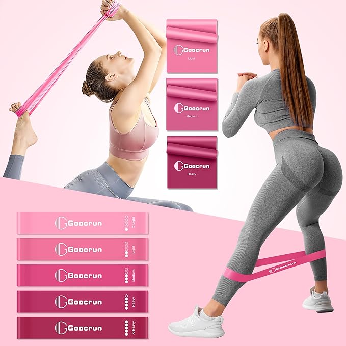 Pilates Ring Set Exercise Equipment with Exercise Bands Resistance Bands Set, Pilates Ball, Sliding Disks ā Workout Equipment Home Gym Includes Complete Fitness Poster