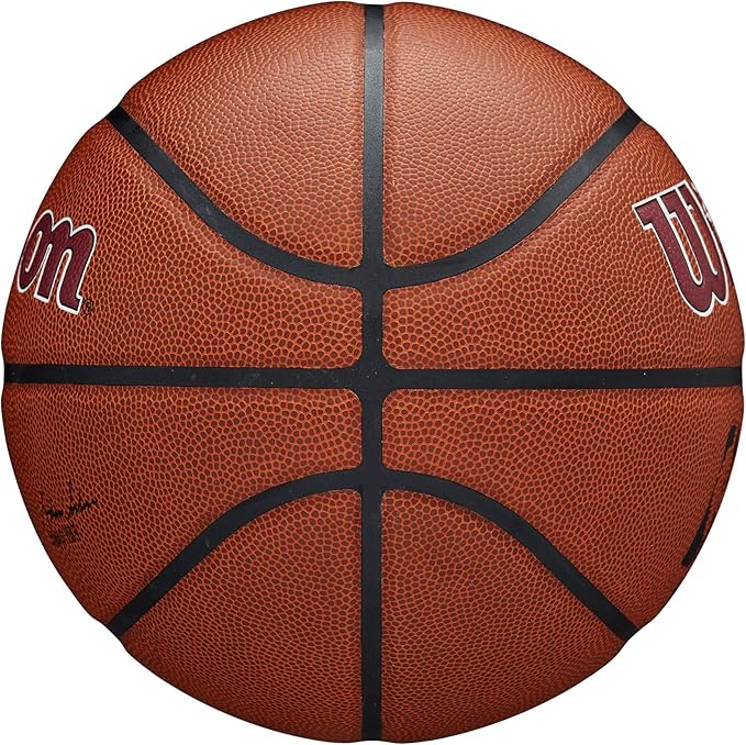 WILSON NBA Team Alliance Basketballs - Size 7-29.5"