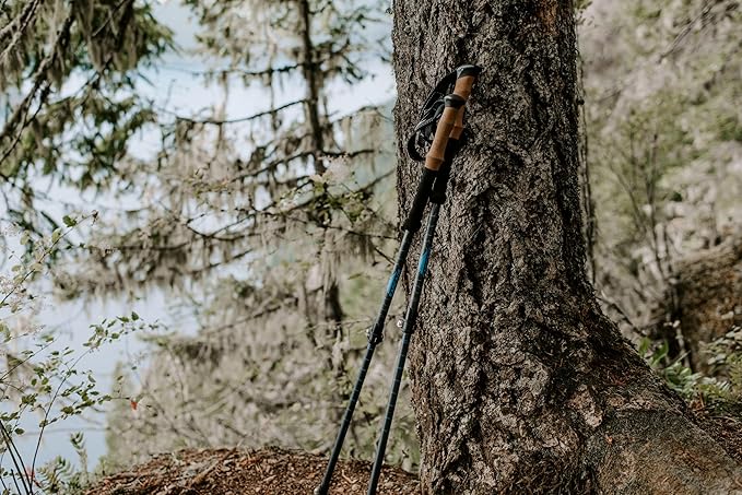 Cascade Mountain Tech Trekking Poles - Carbon Fiber Walking or Hiking Sticks with Quick Adjustable Locks
