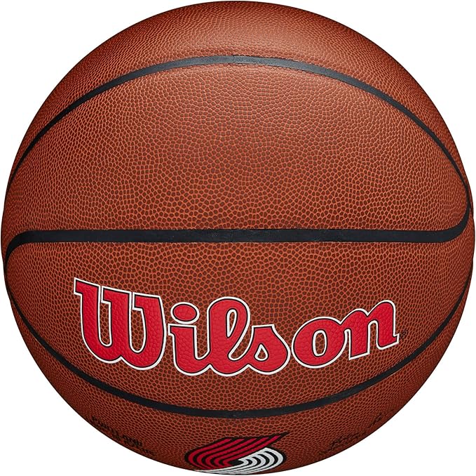 WILSON NBA Team Alliance Basketballs - Size 7-29.5"