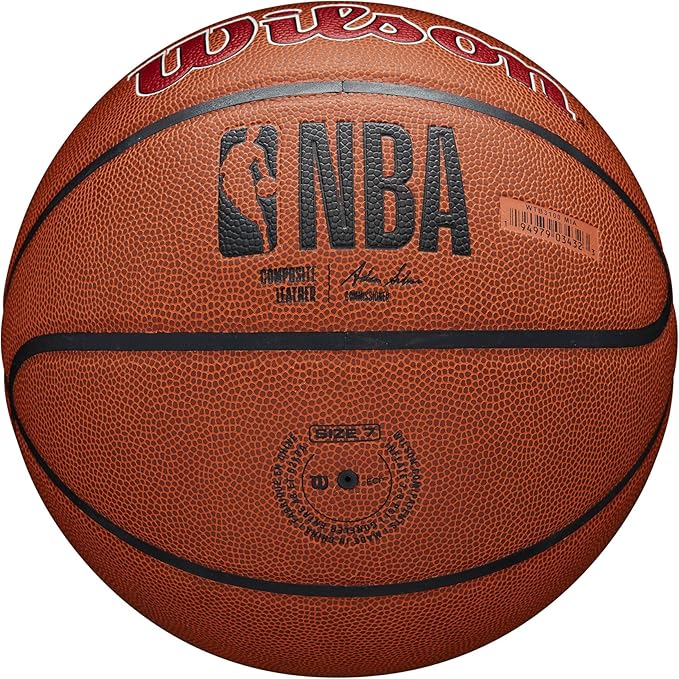 WILSON NBA Team Alliance Basketballs - Size 7-29.5"