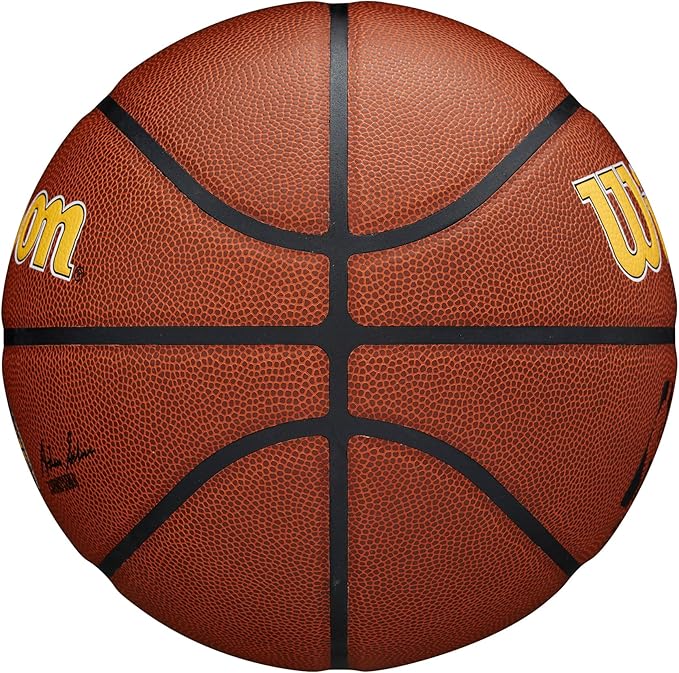 WILSON NBA Team Alliance Basketballs - Size 7-29.5"