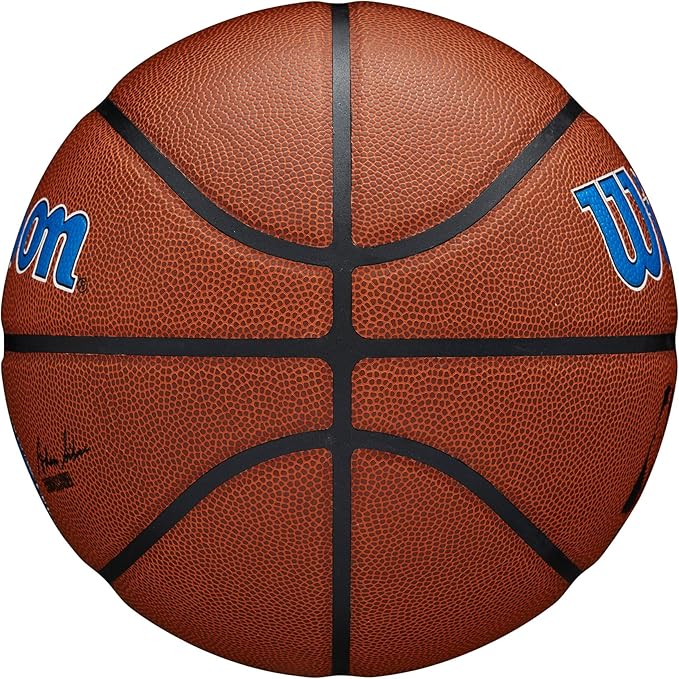 WILSON NBA Team Alliance Basketballs - Size 7-29.5"