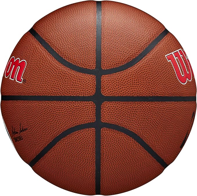 WILSON NBA Team Alliance Basketballs - Size 7-29.5"