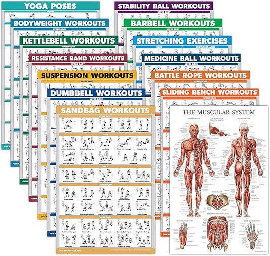 Palace Learning 14 Pack - Exercise Poster Set: Dumbbell, Suspension, Kettlebell, Resistance Bands, Stretching, Muscular, Medicine Ball, Battle Rope, Bodyweight, Barbell, Yoga, Exercise Ball