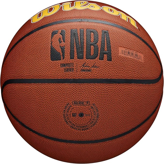 WILSON NBA Team Alliance Basketballs - Size 7-29.5"