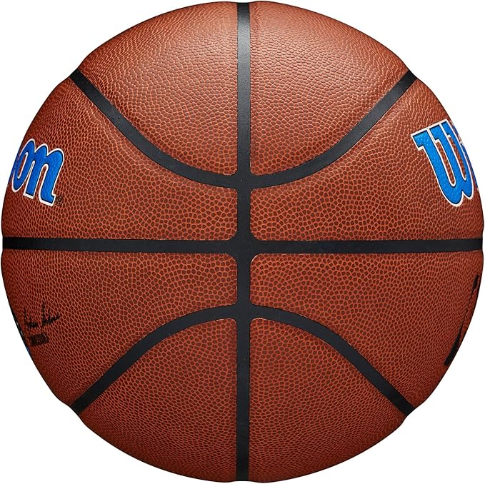 WILSON NBA Team Alliance Basketballs - Size 7-29.5"