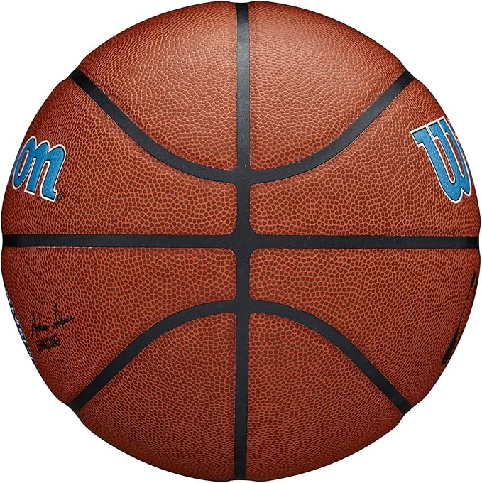 WILSON NBA Team Alliance Basketballs - Size 7-29.5"