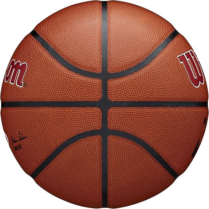 WILSON NBA Team Alliance Basketballs - Size 7-29.5"