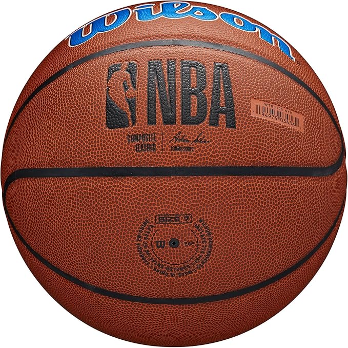 WILSON NBA Team Alliance Basketballs - Size 7-29.5"