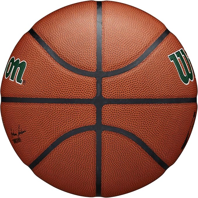 WILSON NBA Team Alliance Basketballs - Size 7-29.5"