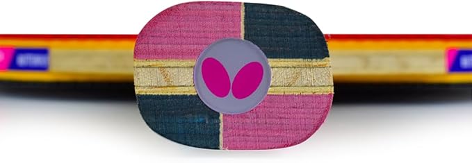 Butterfly Nakama Shakehand Ping Pong Paddle - Recommended for Beginner & Intermediate Level Players - Includes Two Free 40+ Balls - International Table Tennis Federation Approved
