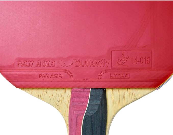 Butterfly Nakama Shakehand Ping Pong Paddle - Recommended for Beginner & Intermediate Level Players - Includes Two Free 40+ Balls - International Table Tennis Federation Approved