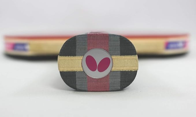 Butterfly Nakama Shakehand Ping Pong Paddle - Recommended for Beginner & Intermediate Level Players - Includes Two Free 40+ Balls - International Table Tennis Federation Approved