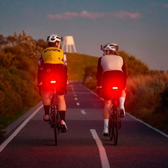 Knog Blinder Link Tail Light - 100 Lumen Bike Light, 50 Hour Runtime, Low Battery Indicator, Powerful Bike Light