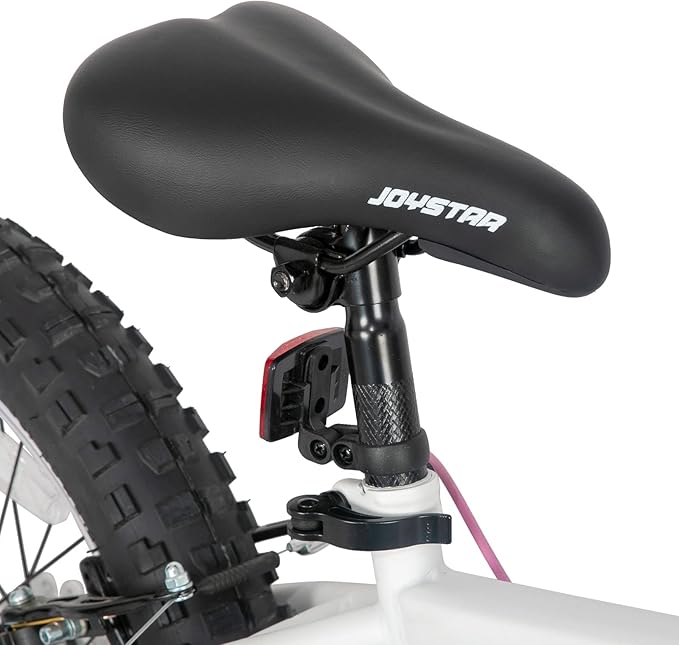 JOYSTAR 20 Inch Mountain Bike for Kids Ages 7-12 Year Old, 3-Inch Wide Knobby Tires, 7 Speed Shimano Drivetrain, Disc Brakes, Fat Tire Kids Bicycles for Boys Girls