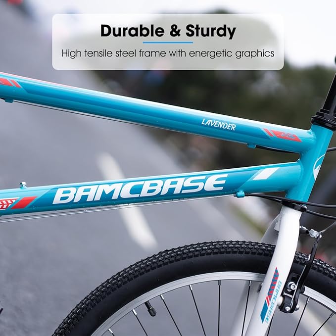 Hiland Adult 26 Inch Mountain Bike, Mens and Womens Bicycle with 21 Speed, High-Carbon Steel Frame Mountain Bicycle, Sport MTB for Men Women