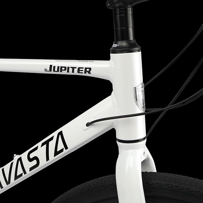 AVASTA Jupiter 700C Road Adult Step-Over Hybrid Cycling Bike Bicycle, Aluminum Frame, 21-Speed, Dual Disc Brakes, Multpile Colors for Men Woman Male Female