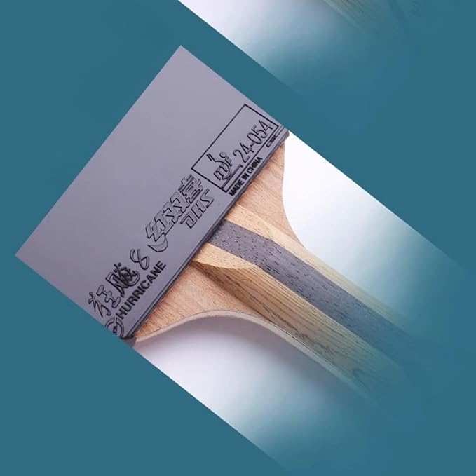 DHS Ping Pong Paddle Professional Racket - Table Tennis Racket with Carrying Case - ITTF Approved Rubber for Tournament Play - Best Table Tennis Paddle