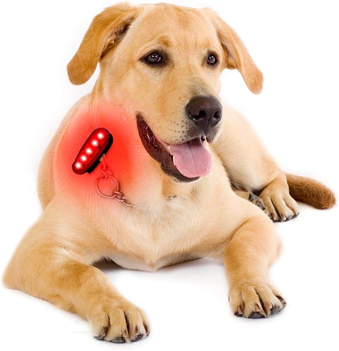 USB Rechargeable LED Safety Lights (2 Pack) - Clip on Strobe Running Lights for Runners, Joggers,Walkers,Kids,Dogs,Bike Tail Lights - High Visibility Accessories for Reflective Gear