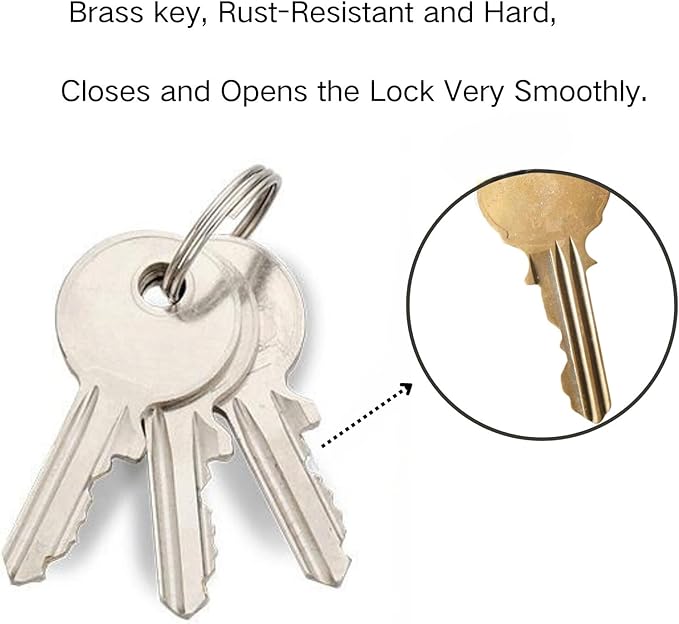 70MM Discus Padlock with Same 3 Brass Keys,304 Stainless Steel Disc Lock with Brass Gallows to Prevent Rusting,Thick Sturdy Hook to Prevent Picking.12 Pack-XZJYYF