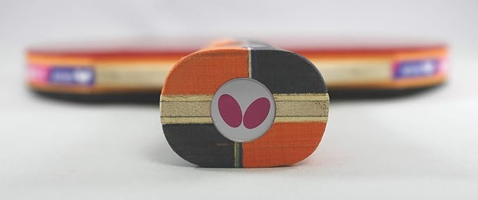 Butterfly Nakama Shakehand Ping Pong Paddle - Recommended for Beginner & Intermediate Level Players - Includes Two Free 40+ Balls - International Table Tennis Federation Approved