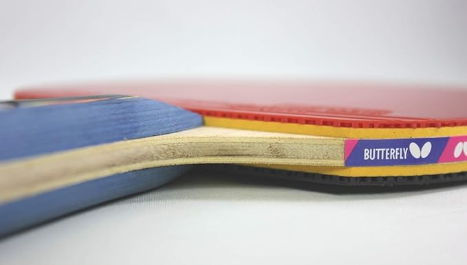 Butterfly Nakama Shakehand Ping Pong Paddle - Recommended for Beginner & Intermediate Level Players - Includes Two Free 40+ Balls - International Table Tennis Federation Approved