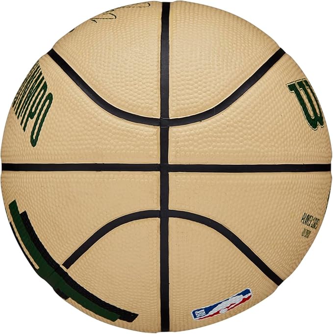 WILSON NBA Player Icon Basketballs - Size 3 and Size 7