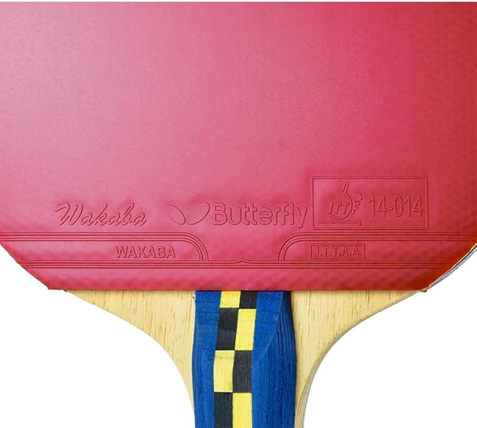 Butterfly Nakama Shakehand Ping Pong Paddle - Recommended for Beginner & Intermediate Level Players - Includes Two Free 40+ Balls - International Table Tennis Federation Approved