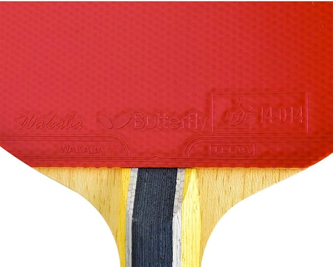 Butterfly B603FL Ping Pong Paddle Set | 1 Table Tennis Racket | 1 Ping Pong Paddle Case| Tournament Butterfly Ping Pong Paddles | High Speed & Spin Table Tennis Set, multi