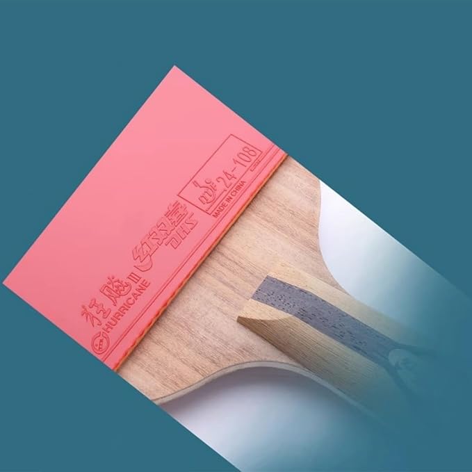 DHS Ping Pong Paddle Professional Racket - Table Tennis Racket with Carrying Case - ITTF Approved Rubber for Tournament Play - Best Table Tennis Paddle