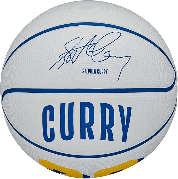 WILSON NBA Player Icon Basketballs - Size 3 and Size 7